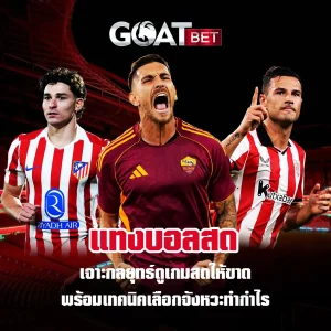 แทงบอลสด